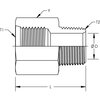 World Wide Fittings Female O-Ring Boss to Male Pipe Straight Adapter 3239X06X06